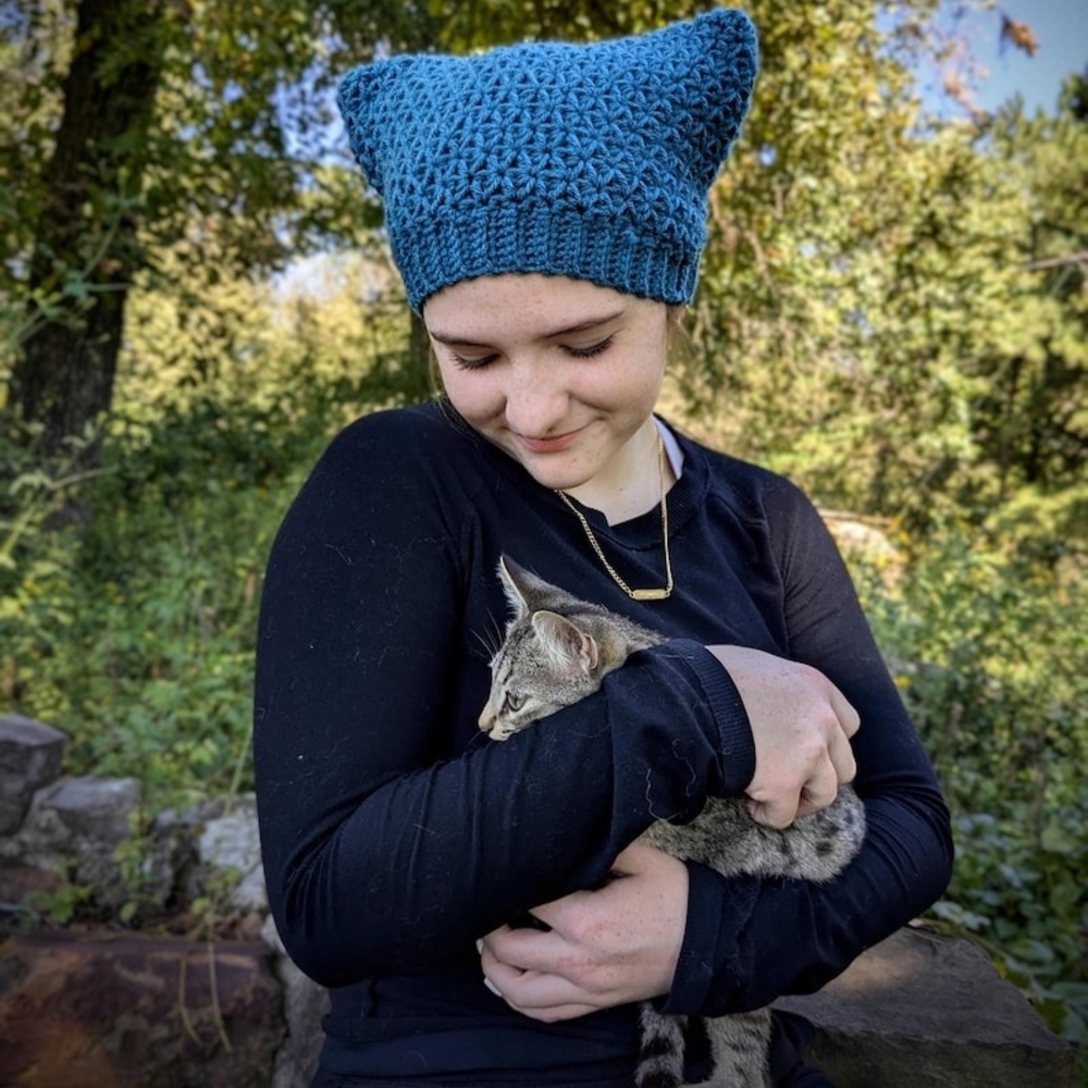 Cozy Blue Cat Ear Beanie